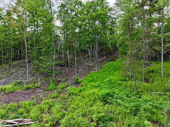 5th image of Lot 2 Lightening Ridge Road