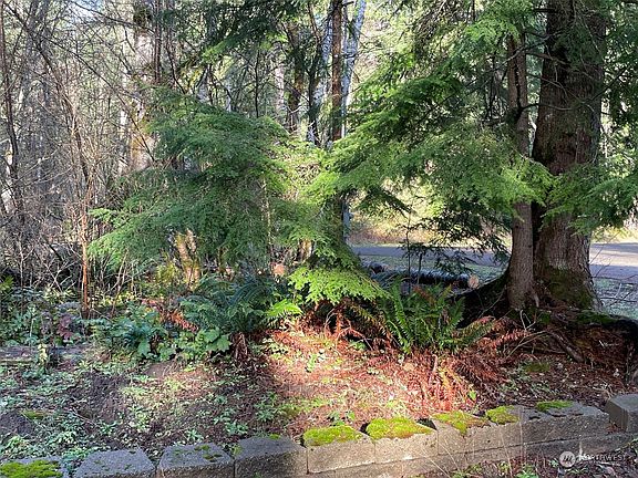 4th image of 55514 315th Avenue E
