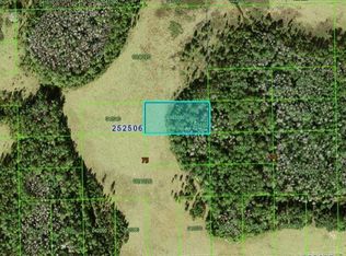 Sun Juan Ave #341, Polk City, FL 33868