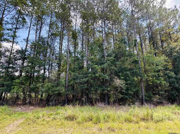 LOT 15&16 Highway 449, Pine Grove, LA 70453