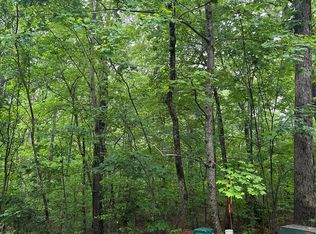 221 Mountain Springs Dr, Clarkesville, GA 30523