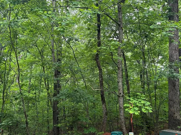 221 Mountain Springs Dr, Clarkesville, GA 30523