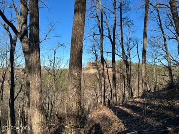 2353 Headrick Lead, Sevierville, TN 37862