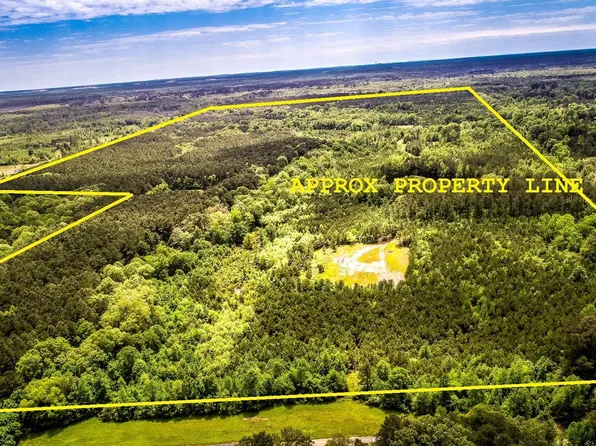 968 Fm, Hallsville, TX 75650