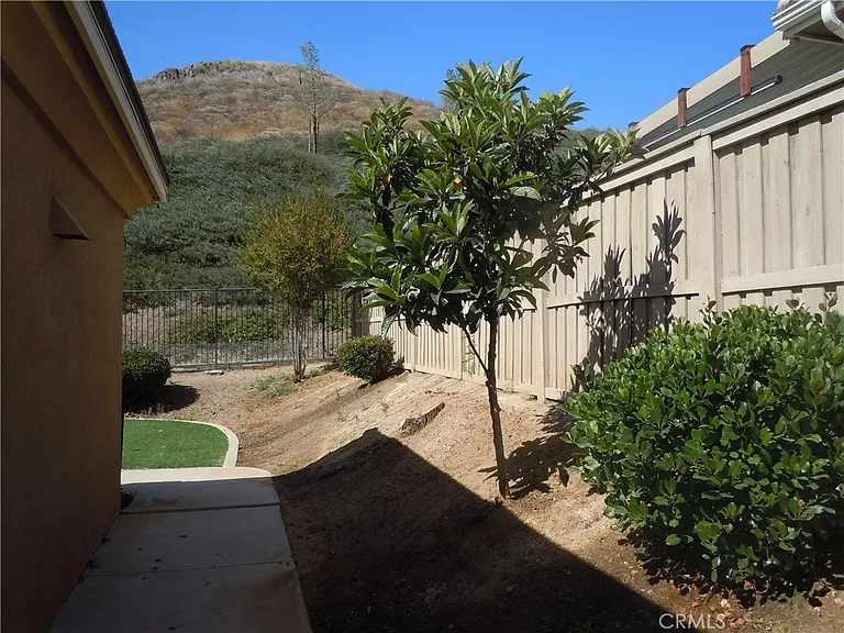 35570 Desert Rose Way — Photo 23