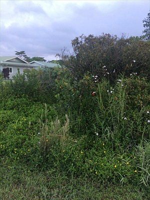 5th image of 12th Ave Lot 1295