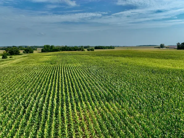 210th Ave, Currie, MN 56123