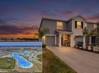 32419 Turtle Grace Loop, Wesley Chapel, FL 33545