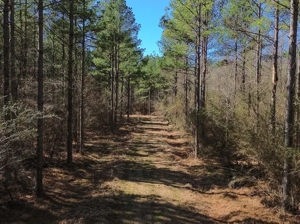 7 Ridge Rd, Columbus, MS 39705