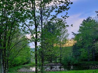 464 Shadduck Rd, Little Meadows, PA 18830