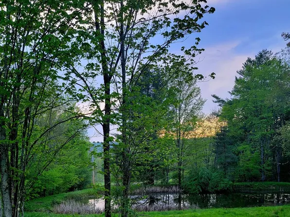 464 Shadduck Rd, Little Meadows, PA 18830