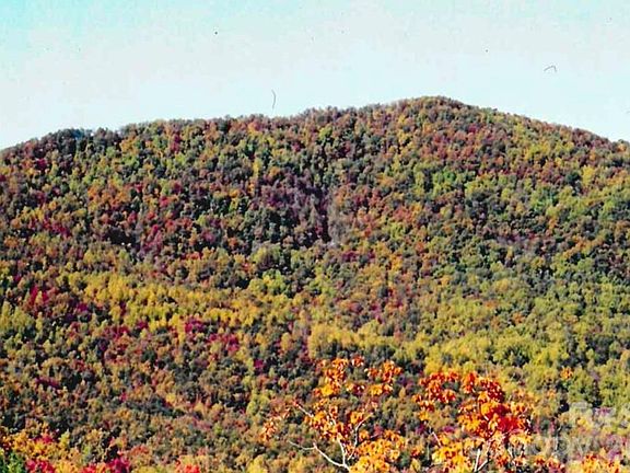 5th image of 0 Froggyville Ln