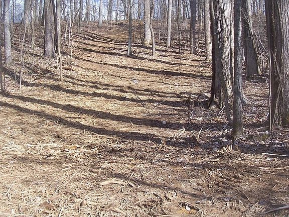 3rd image of 79 Muscadine Ct Lot 79