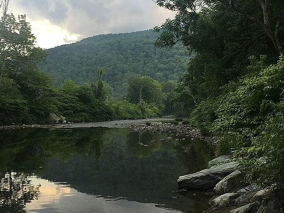 View of the river