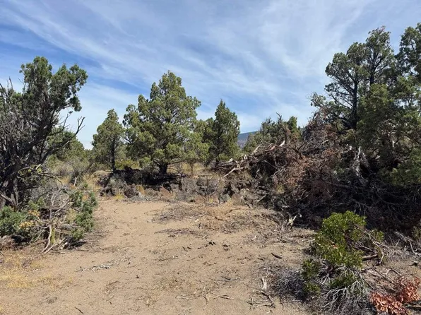 LOT 4 Placone Dr, Montague, CA 96064