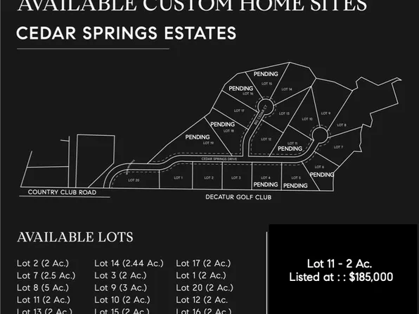 11 Cedar Springs Dr, Decatur, TX 76234