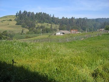 main house from pole barn