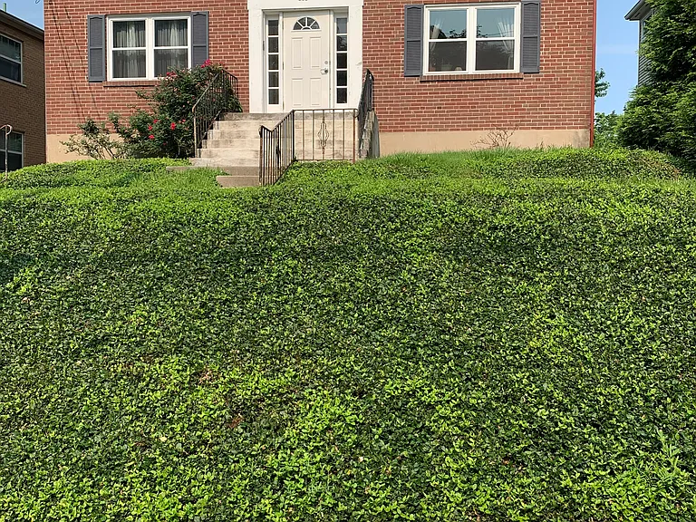 805 Ellison Ave — Photo 1