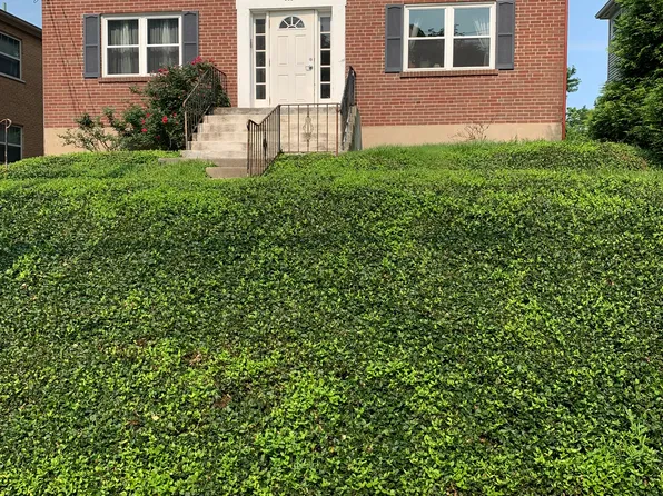805 Ellison Ave, Cincinnati, OH 45226