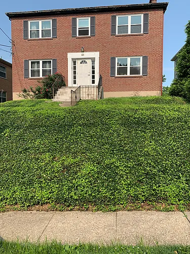 805 Ellison Ave Photo 1