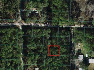 0 NE 66th Ct #5-6, Citra, FL 32113