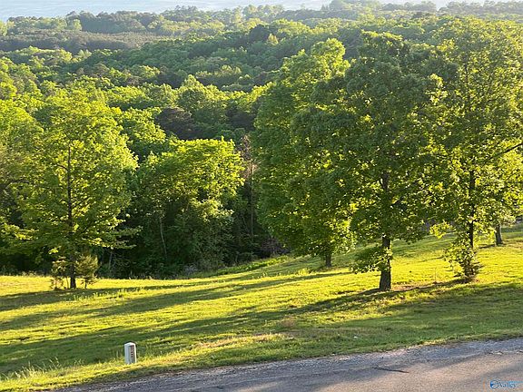 2nd image of LOT 21 County Road 1015