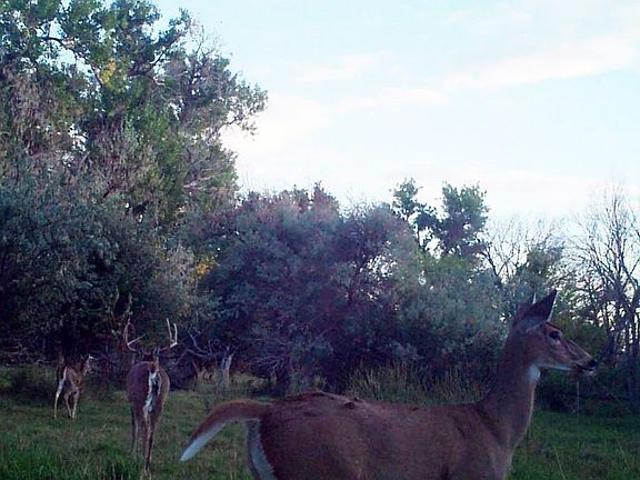 5th image of 211 Mansfield Rd