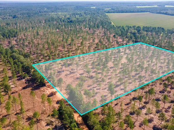 LOT 6 Bluffwood Rd, Wagener, SC 29164