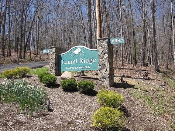 3rd image of 3336 Laurel Dr