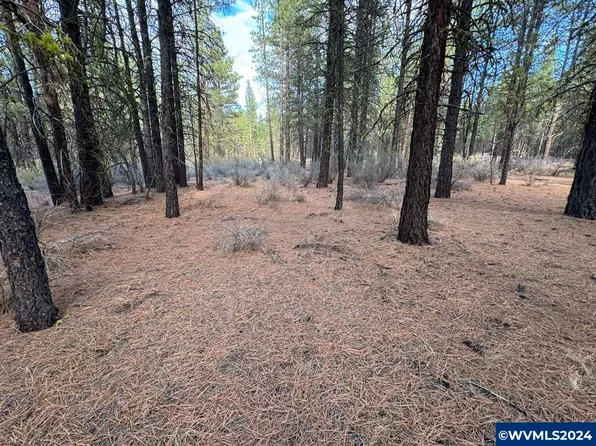 LOT 12 Buckhorn Ln, Chiloquin, OR 97624