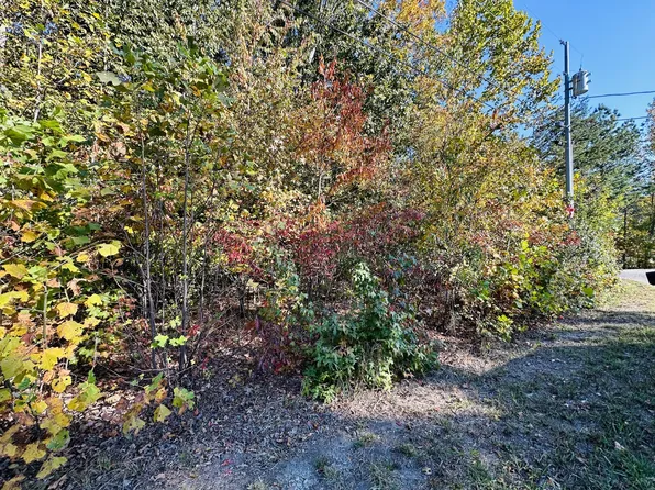 0 Cricket Hill Rd Lot 331, Flintville, TN 37335