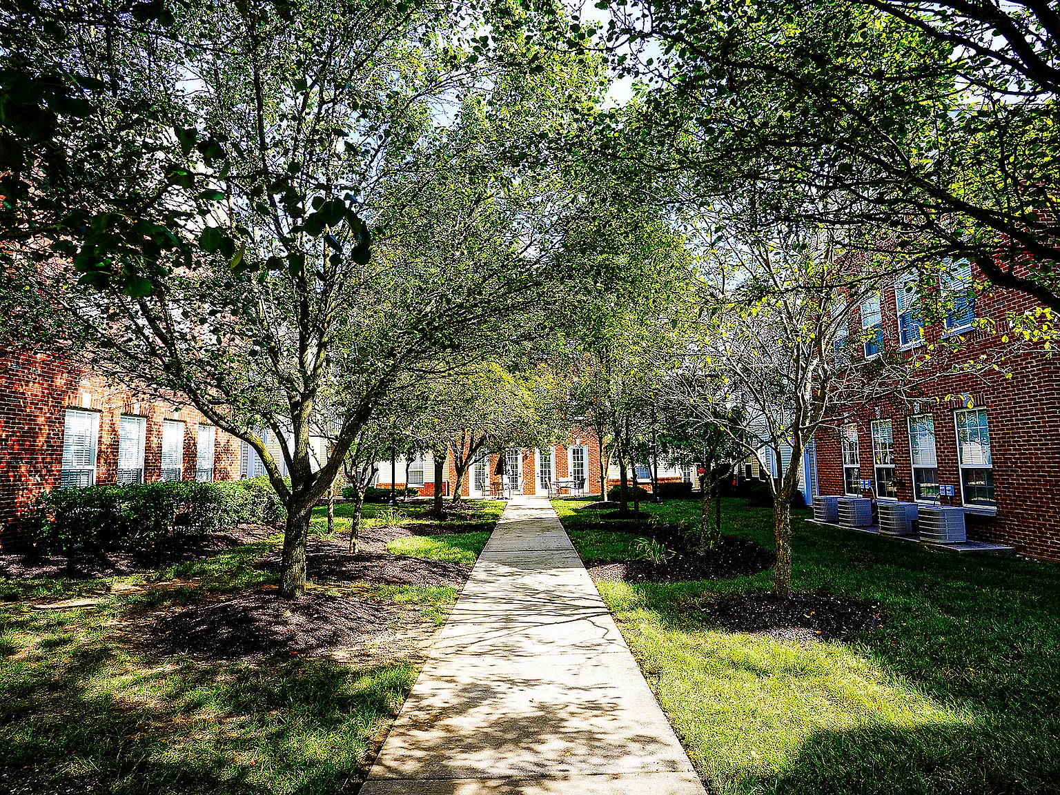 The Gallery Apartments — Photo 4