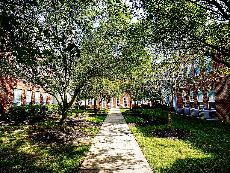 Framed by trees and thoughtfully placed architecture, this quiet courtyard path invites peaceful walks and sunset chats.