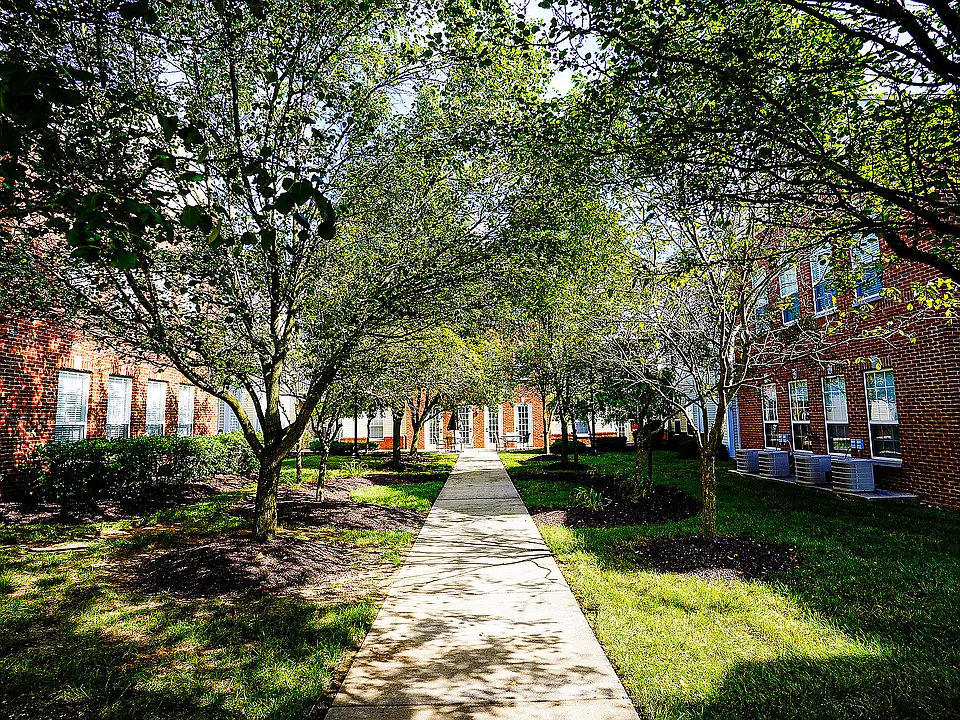 Framed by trees and thoughtfully placed architecture, this quiet courtyard path invites peaceful walks and sunset chats.