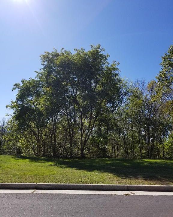 1st image of 1897 Elizabeth Dr