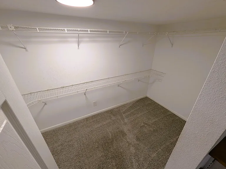 Primary Walk-in Closet