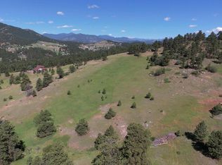 22086 Boar Head Rd, Indian Hills, CO 80454