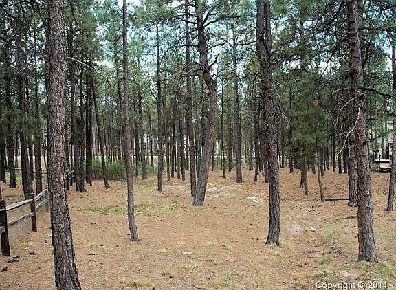 Almost 1/2 acre with recent tree mitigation just completed.