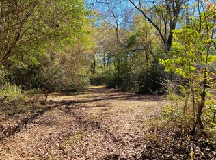 16257 Grand Flower Rd, Plantersville, TX 77363