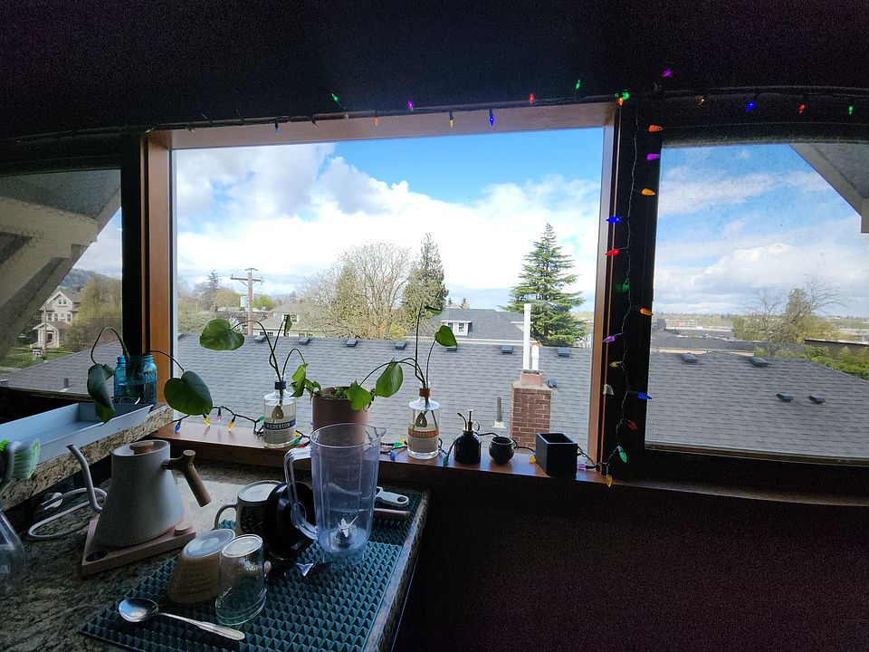 Kitchen View