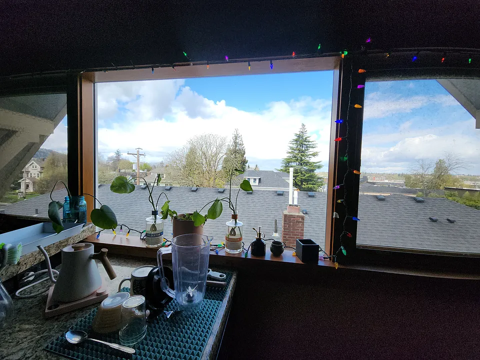 Kitchen View