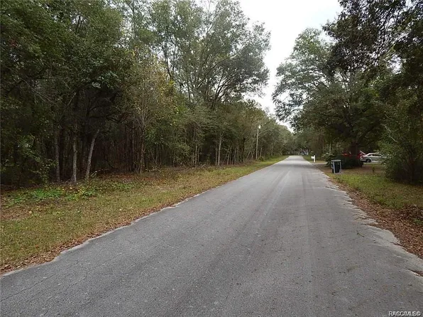 3613 E Bernice St, Inverness, FL 34453