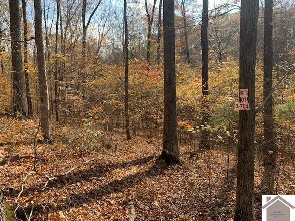 0 Spring Hill Rd, Eddyville, KY 42038