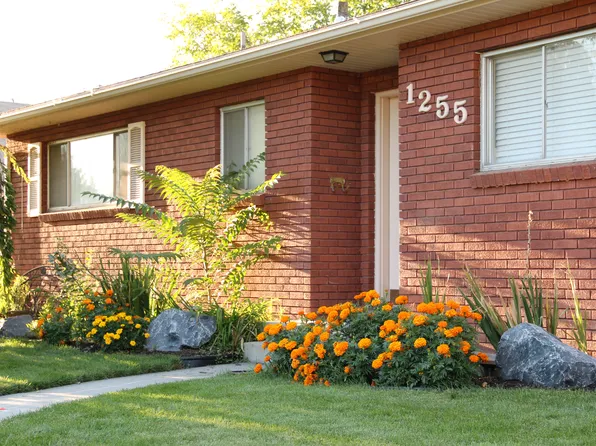 1255 E Center St, Springville, UT 84663