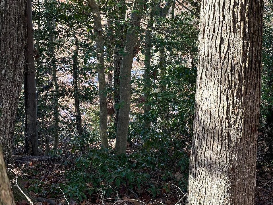 2nd image of Machodoc Creek Rt218