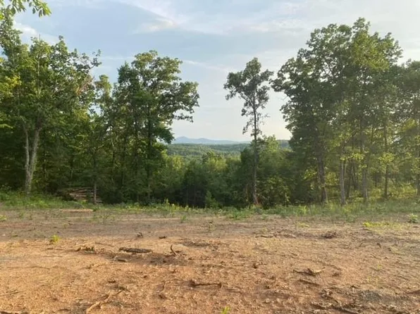 181 Ridgeline Rd Lot 5, Talking Rock, GA 30175