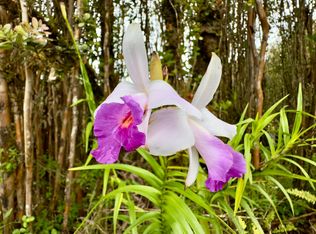 Palainui Ave, Mountain View, HI 96771