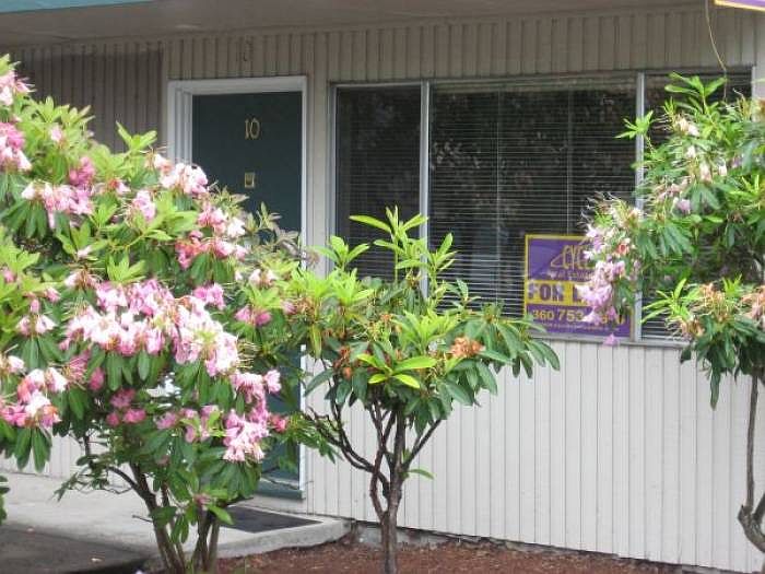 1st image of 509 12th Ave SE Ste 1