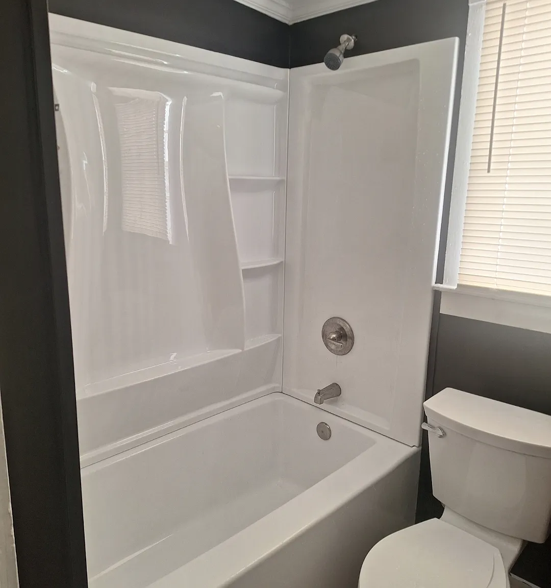 1 bed, $900 — Photo 3