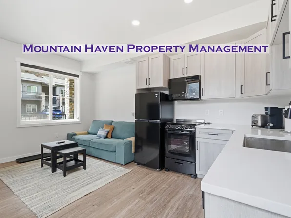 2115 Hummingbird Way Building 4-106, Georgetown, CO 80444